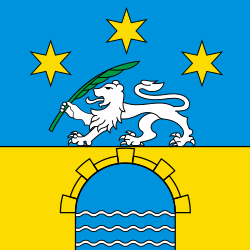 CHE Arbedo-Castione Flag
